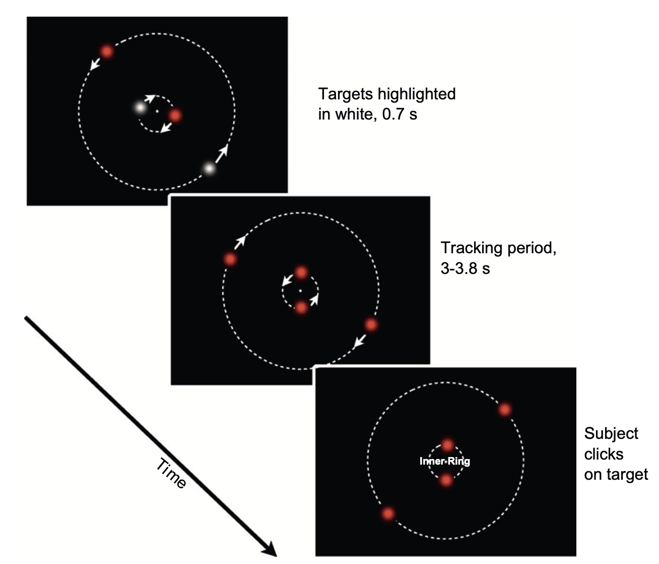 In experiments by Holcombe and Chen (2012), after the targets were highlighted in white, all the discs became red and revolved about the fixation point. During this interval, each pair of discs occasionally reversed their direction. After 3–3.8 s, the discs stop, one ring is indicated, and the participant clicks on one disc of that ring.