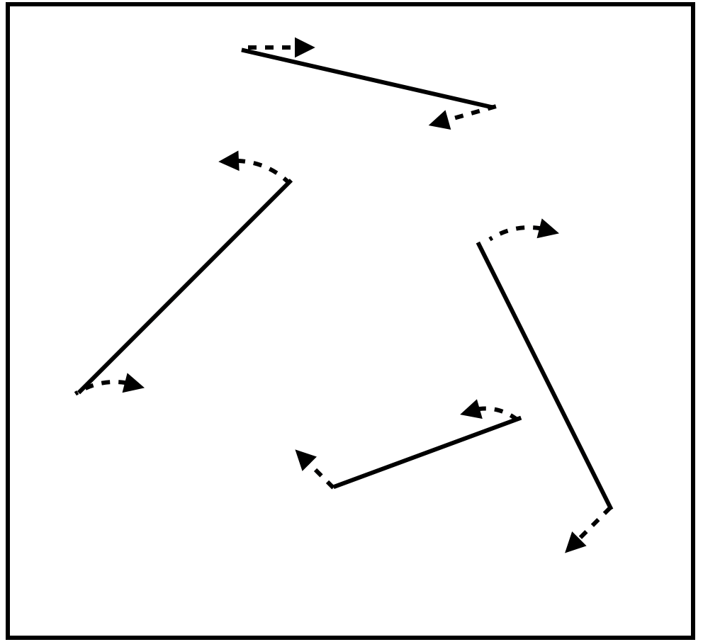 The lines display of Scholl et al. (2001)