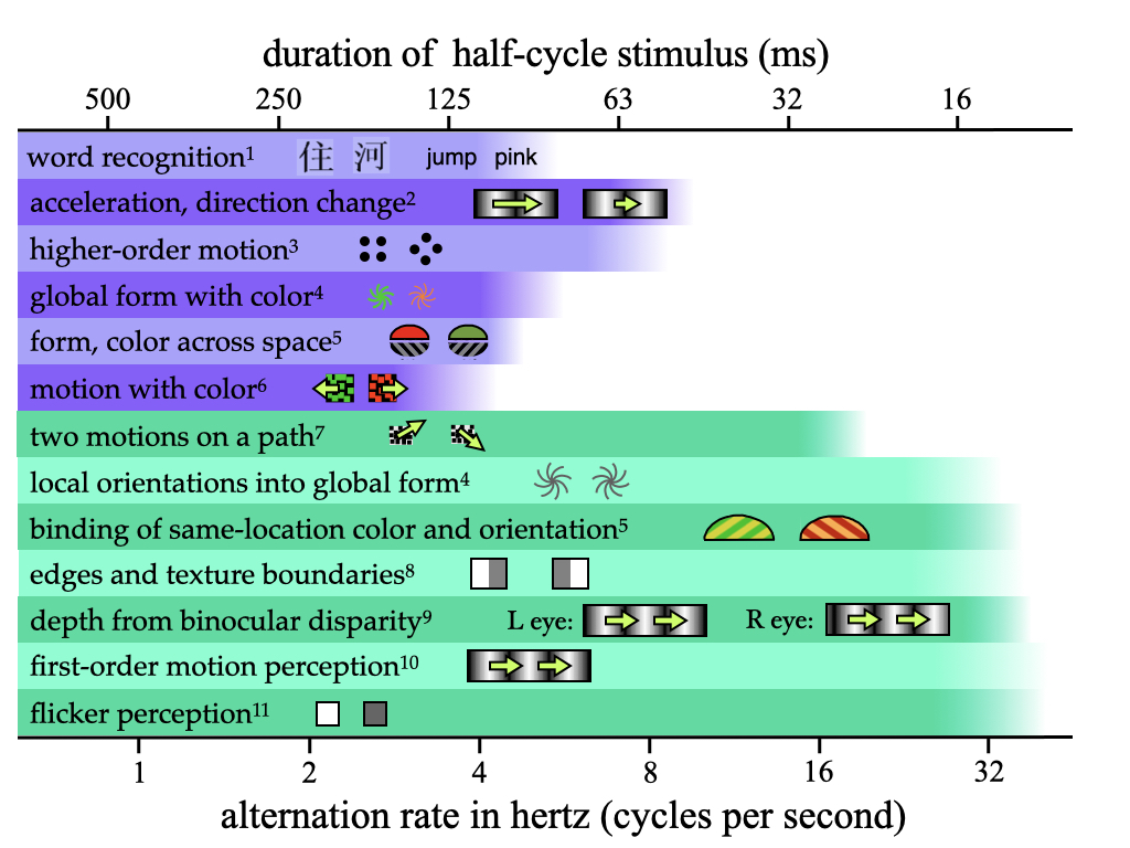 Temporal limits on perception